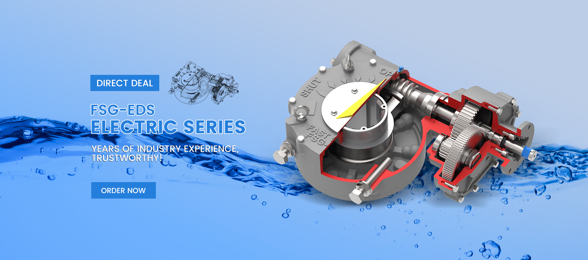 FSG series
